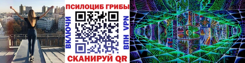 hydra ССЫЛКА  где продают наркотики  Плёс  Псилоцибиновые грибы прущие грибы 